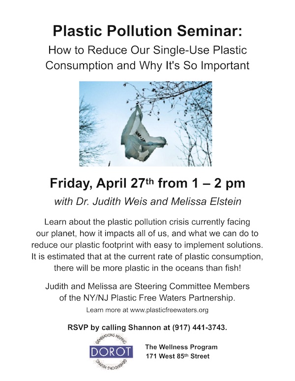 Plastic Pollution Seminar melissa elstein1